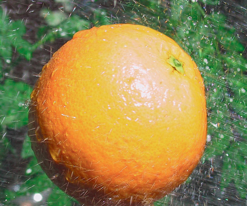 オレンジパワークリーナー 固形タイプ２００ｇ | 日用品・雑貨 